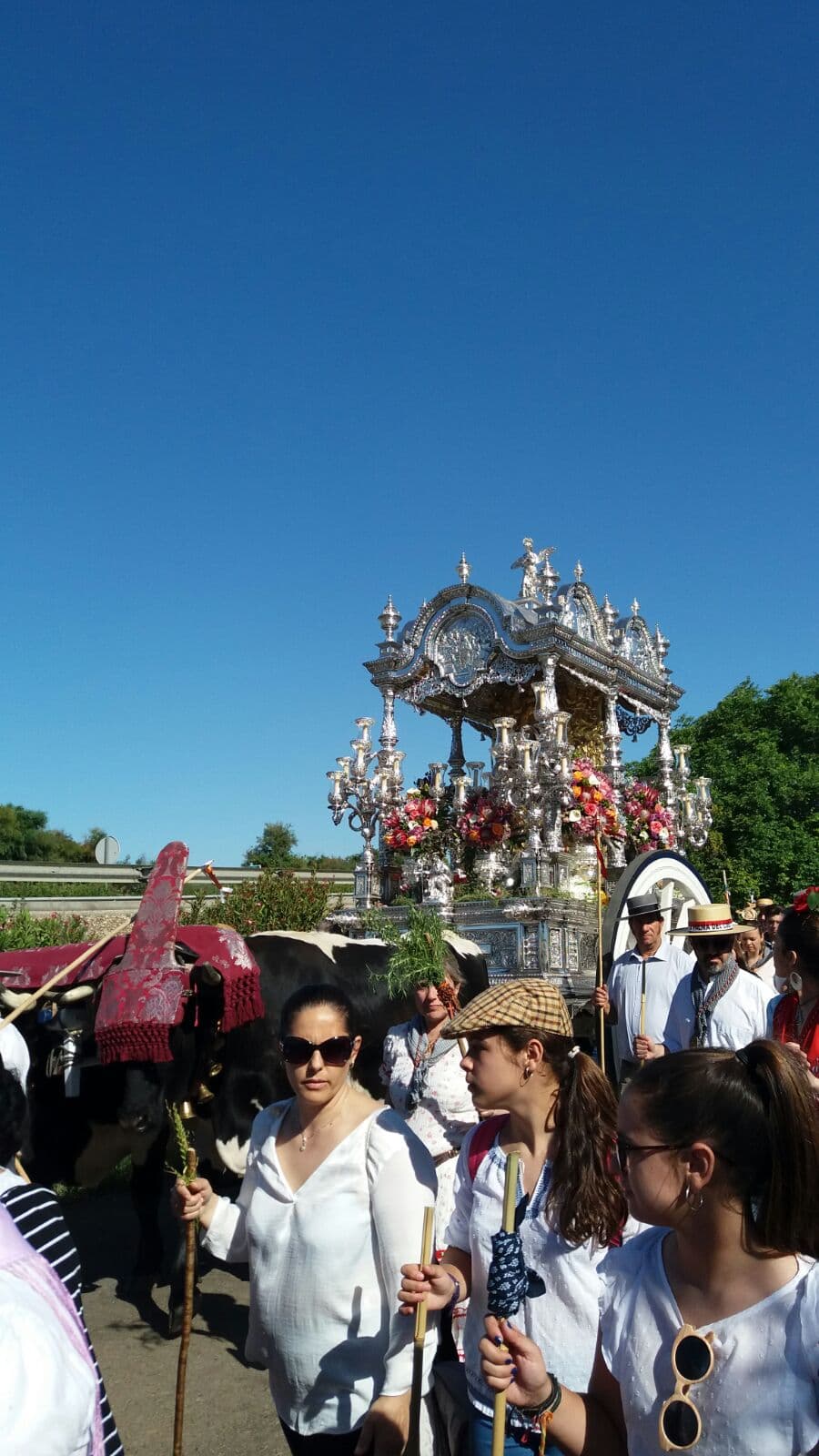 Romería de Pentecostés 2018 — foto 41