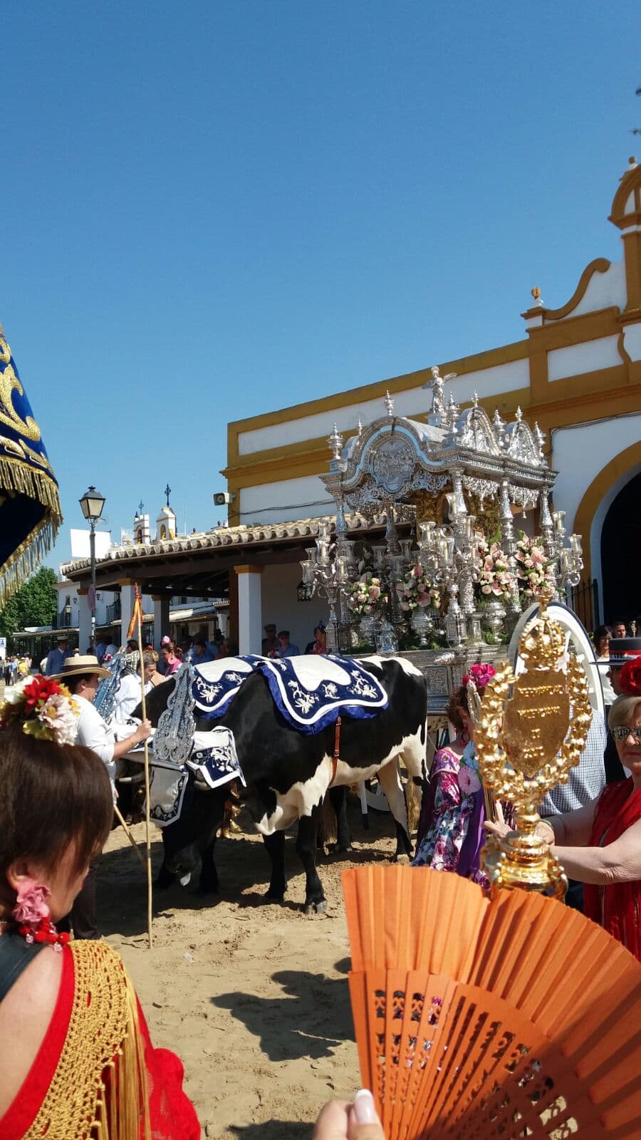 Romería de Pentecostés 2018 — foto 43