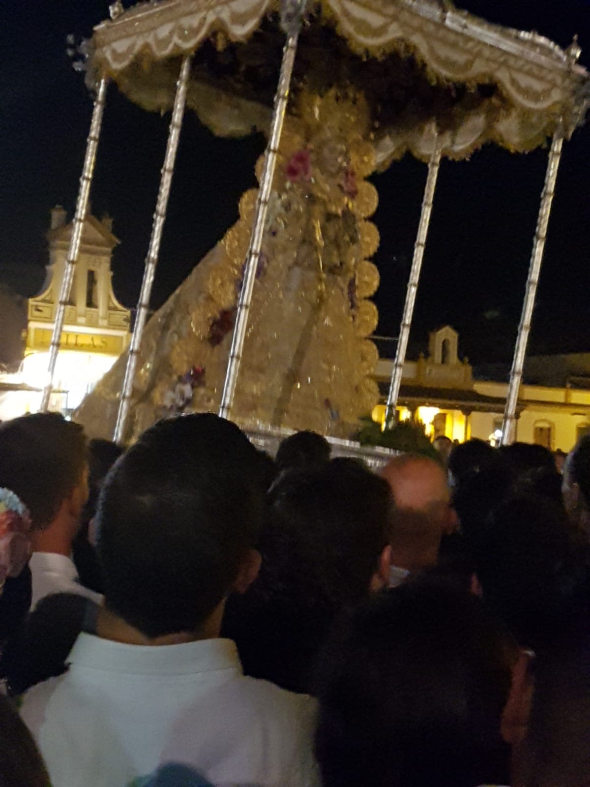 Romería de Pentecostés 2019 — foto 26
