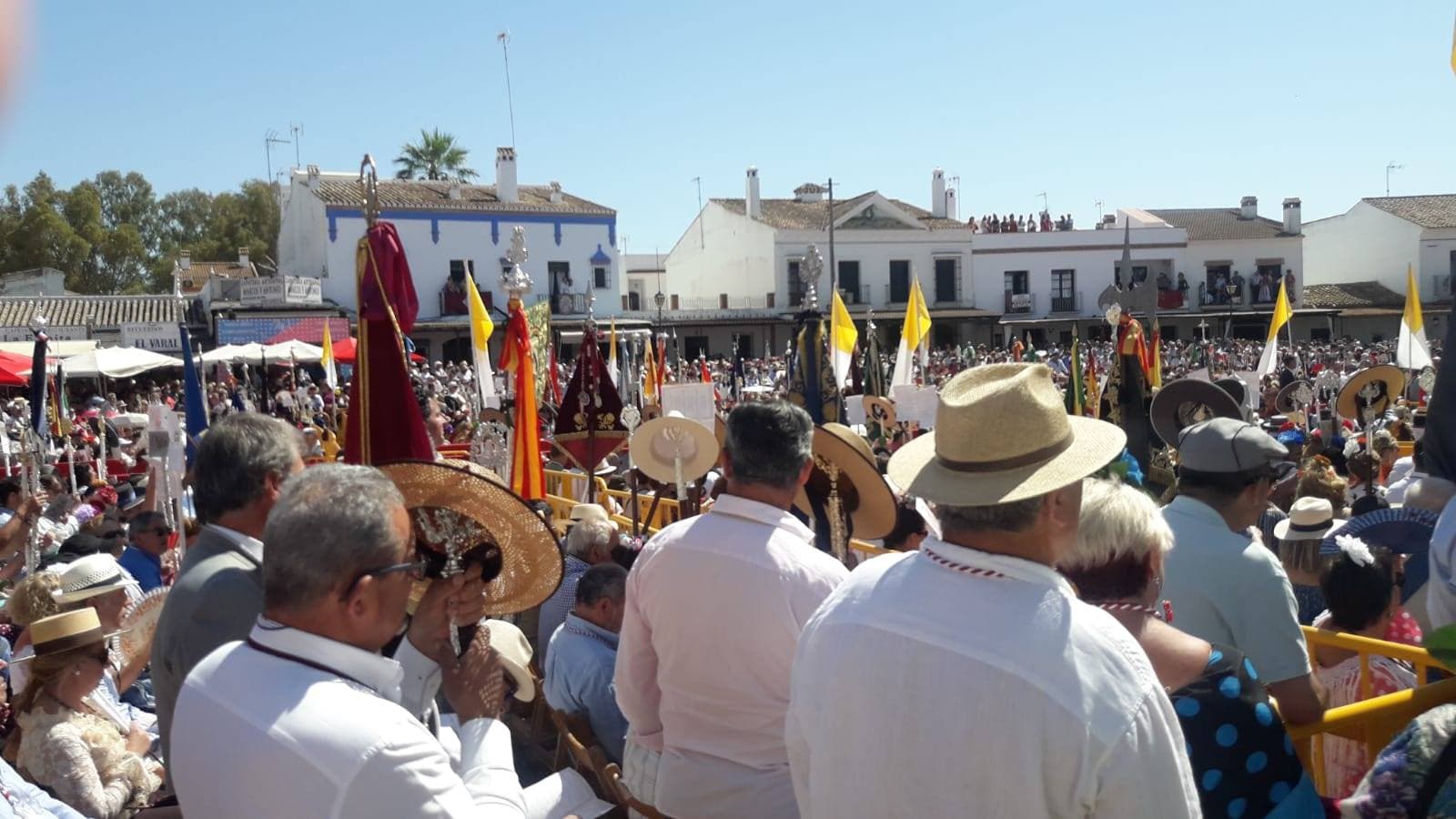 Romería de Pentecostés 2019 — foto 62