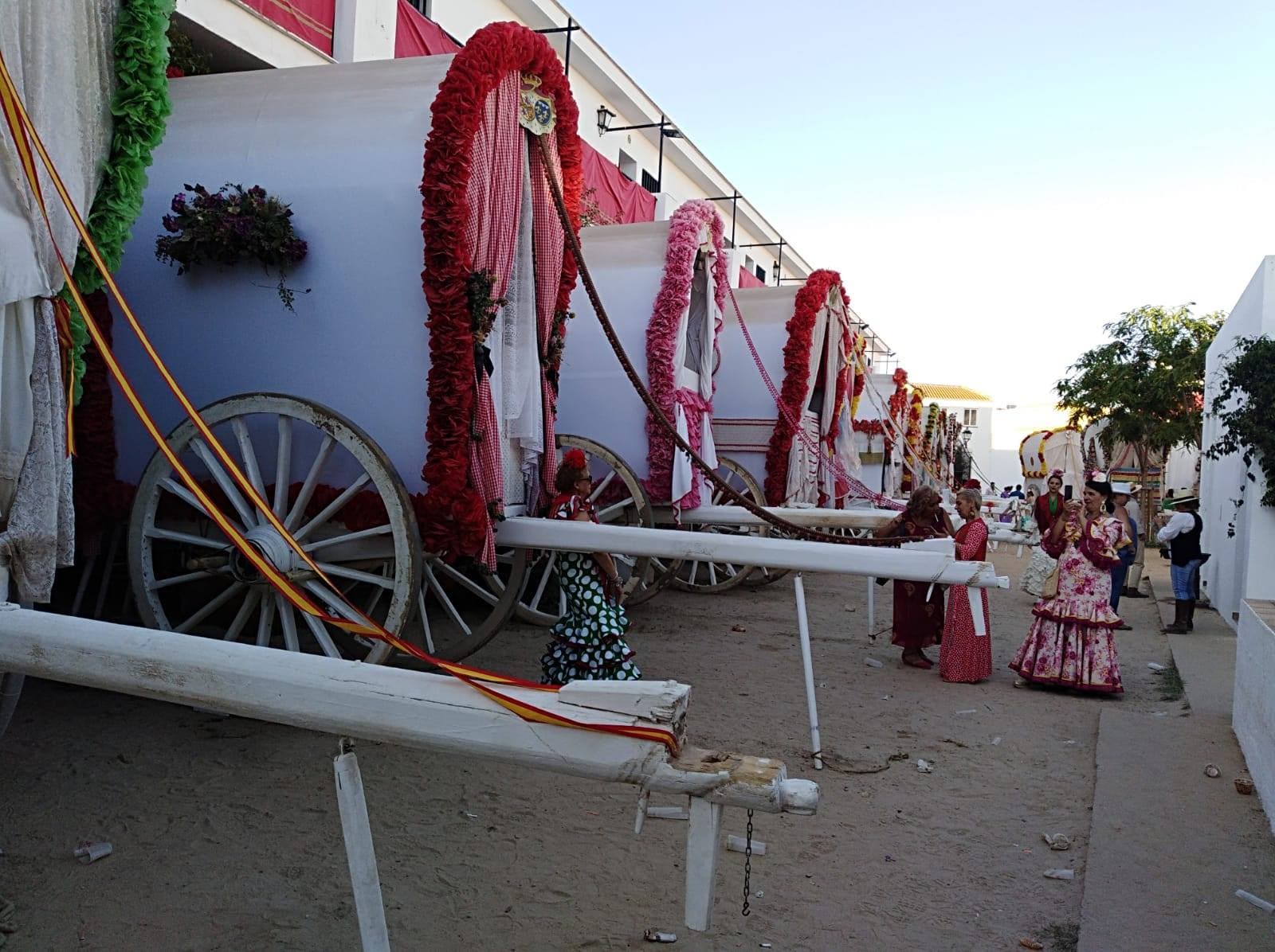 Romería de Pentecostés 2019 — foto 64