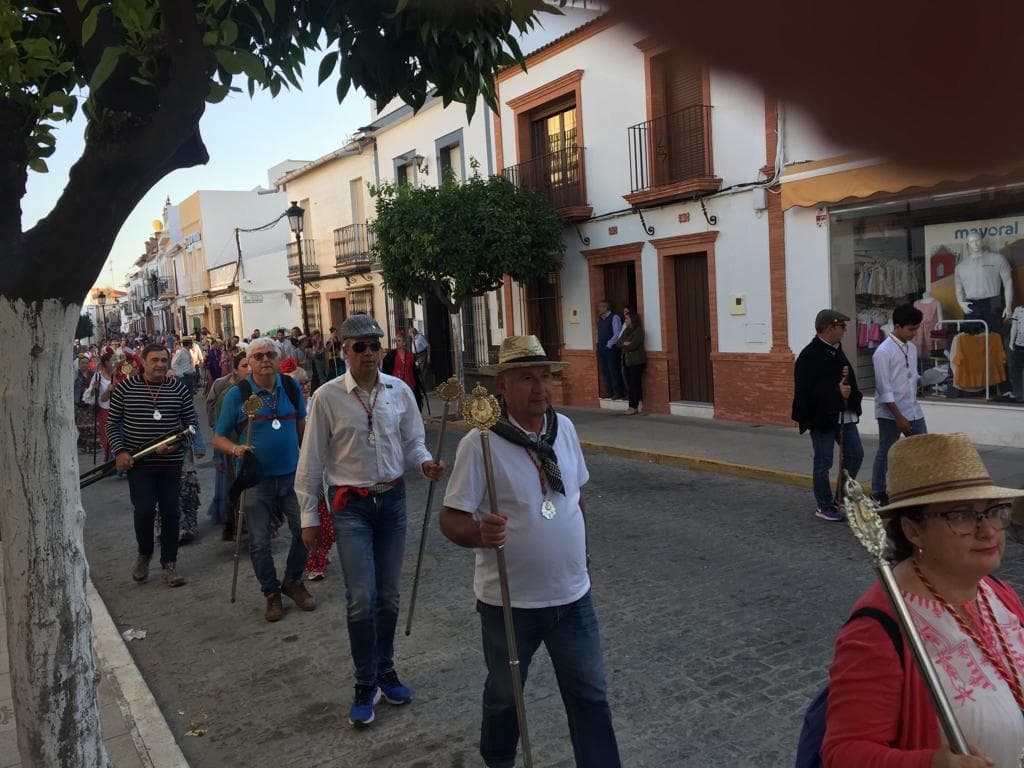 Romería de Pentecostés 2019 — foto 146