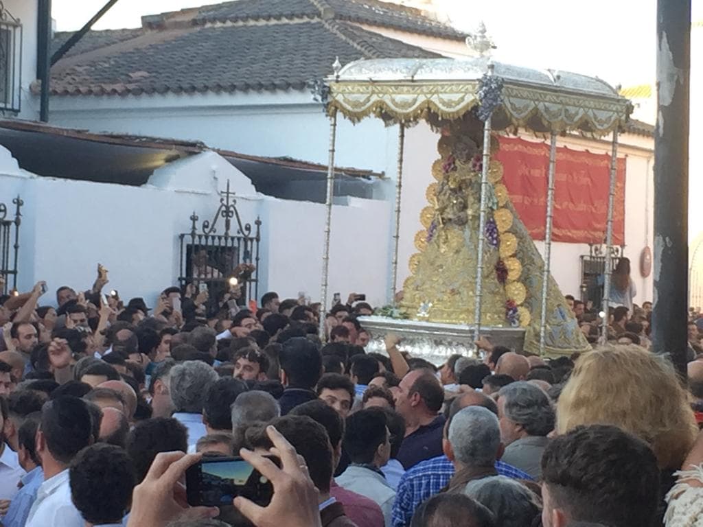 Romería de Pentecostés 2019 — foto 203