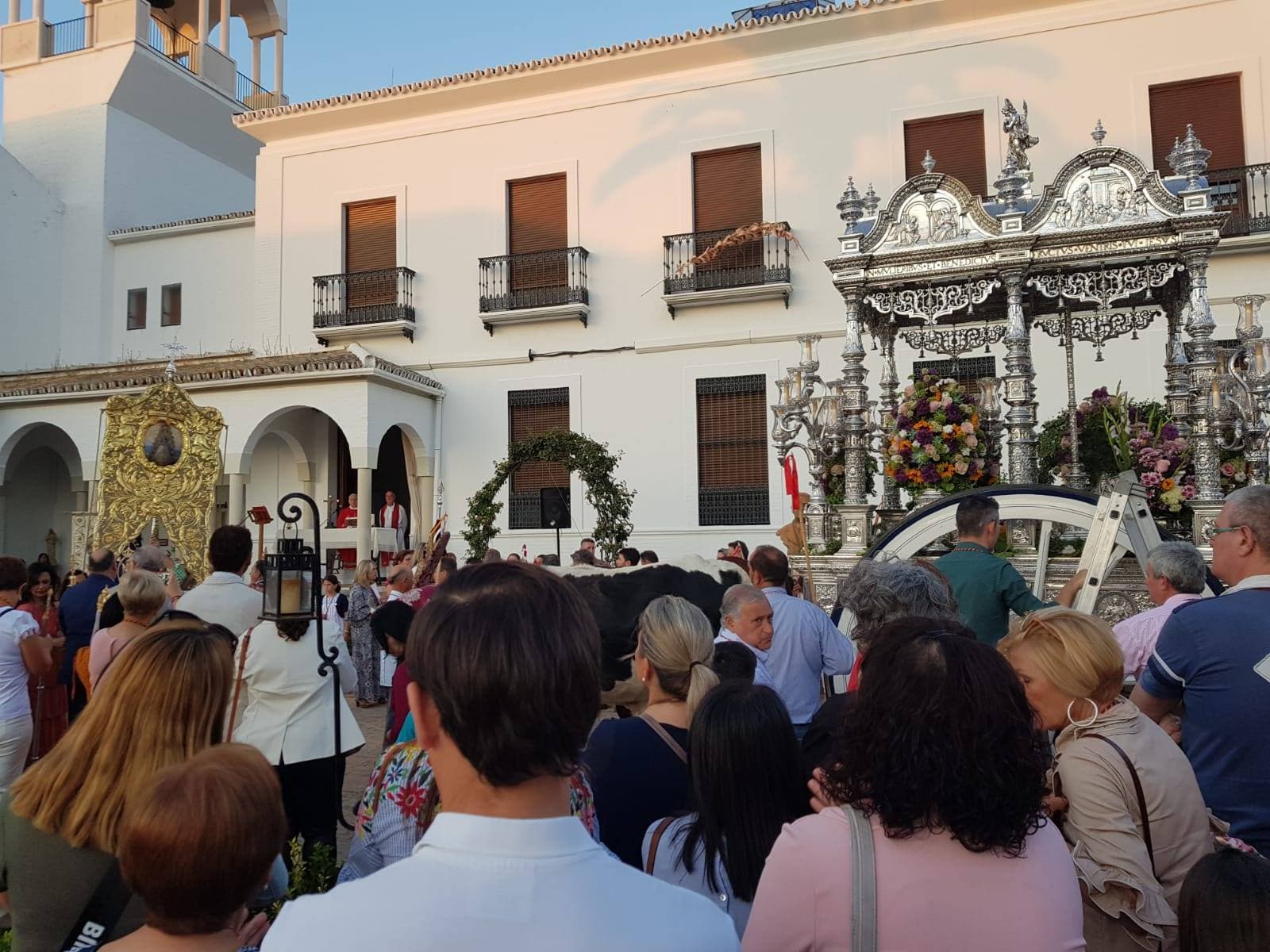 Romería de Pentecostés 2019 — foto 236