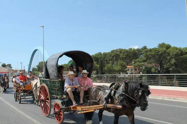 Romería de Torrent — foto 69