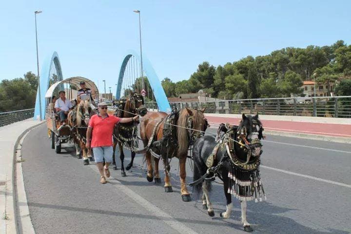 Romería de Torrent — foto 72
