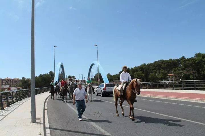 Romería de Torrent — foto 76