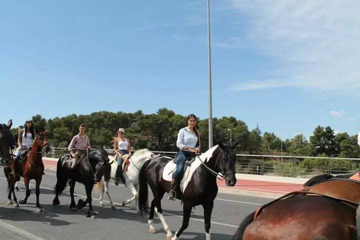 Romería de Torrent — foto 79