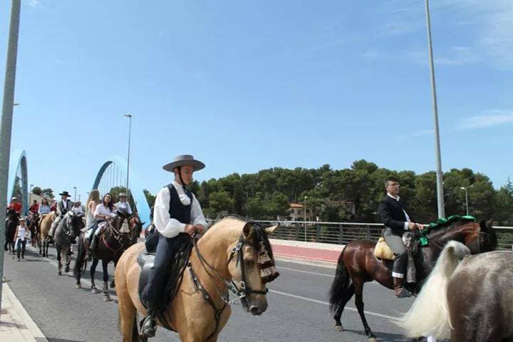 Romería de Torrent — foto 80