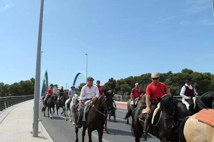 Romería de Torrent — foto 82