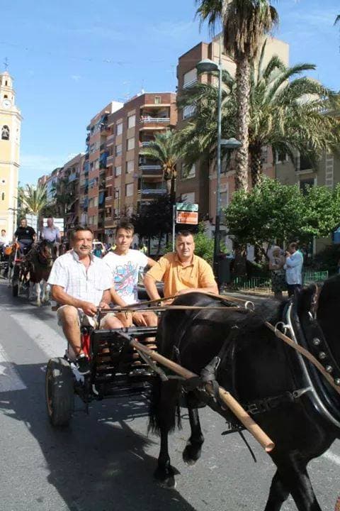 Romería de Torrent — foto 128
