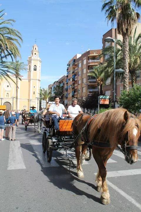 Romería de Torrent — foto 129