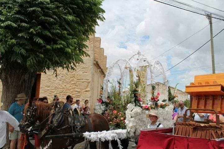 Romería de Torrent 2017 — foto 33
