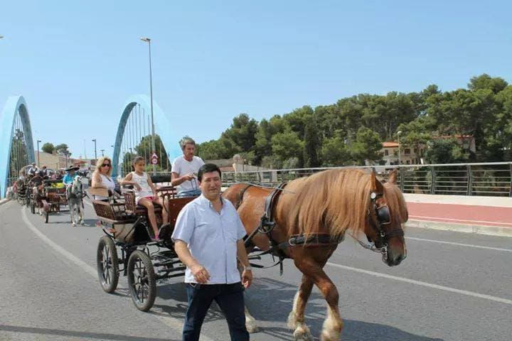 Romería de Torrent 2017 — foto 71