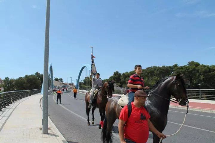 Romería de Torrent 2017 — foto 83