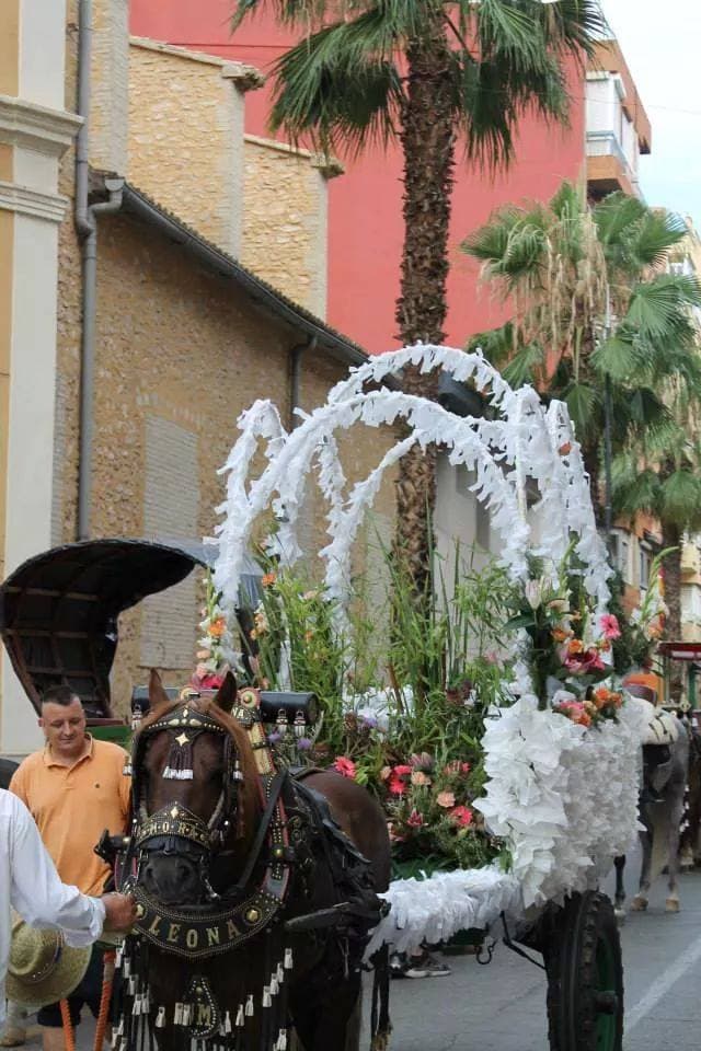 Romería de Torrent 2017 — foto 107