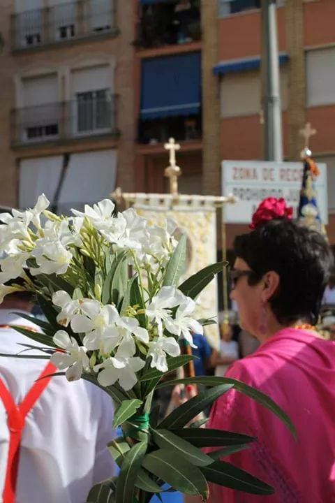 Romería de Torrent 2017 — foto 118