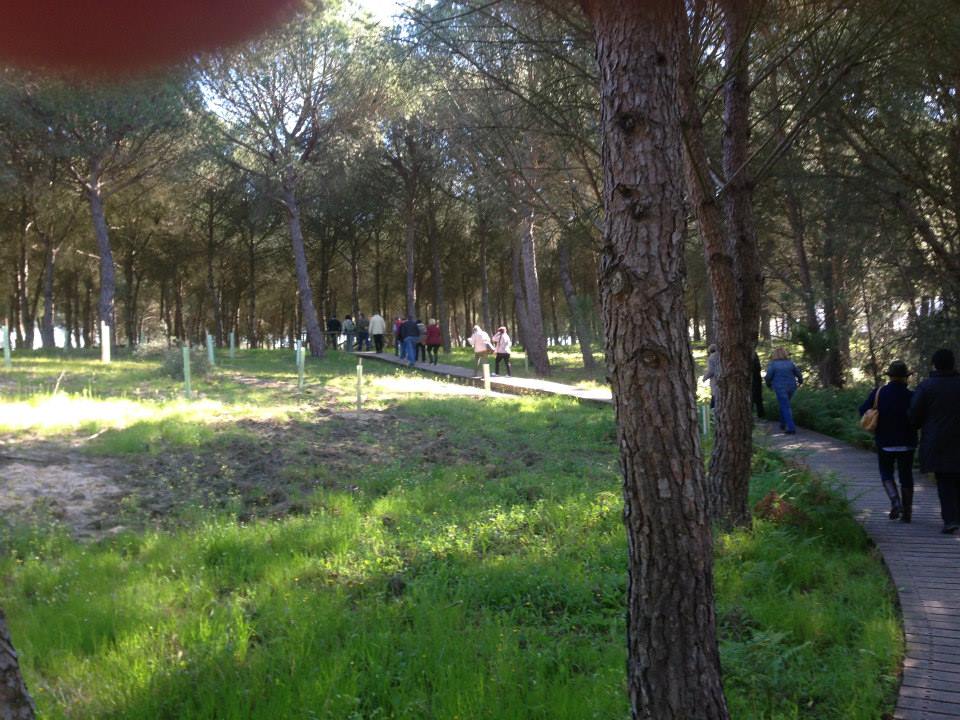 Peregrinación a la Aldea del Rocío 2014 — foto 16
