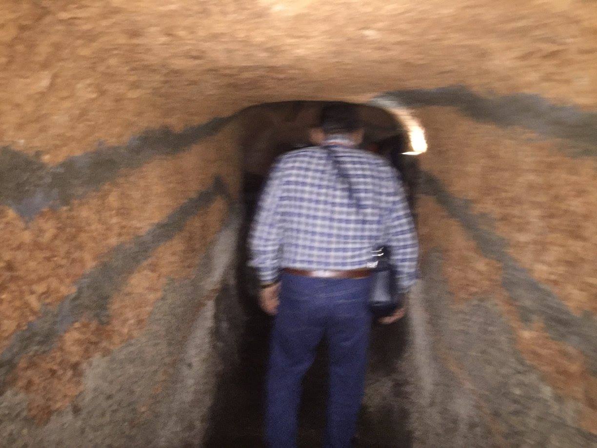 Peregrinación a la Aldea del Rocío 2017 — foto 10
