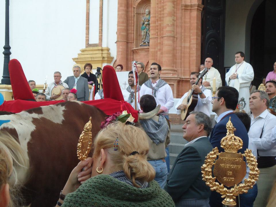 Romería de Pentecostés 2012 — foto 3