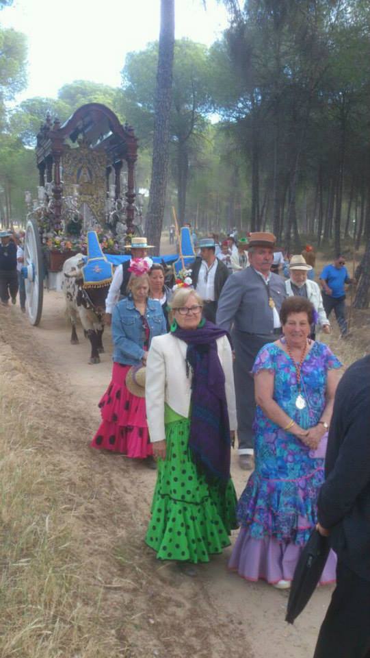 Romería de Pentecostés 2014 — foto 19