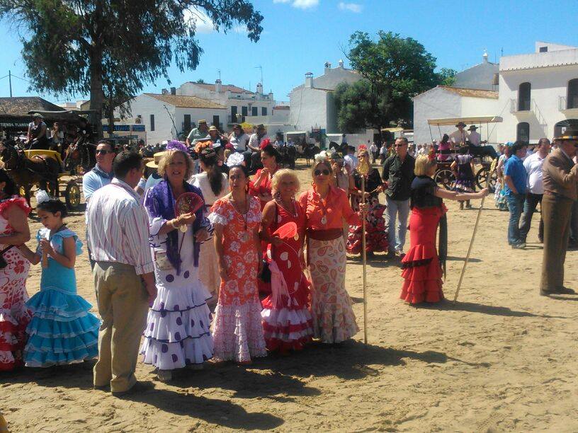 Romería de Pentecostés 2014 — foto 88