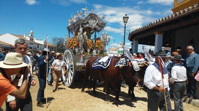 Romería de Pentecostés 2014 — foto 142