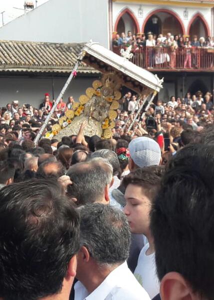 Romería de Pentecostés 2018 — foto 36
