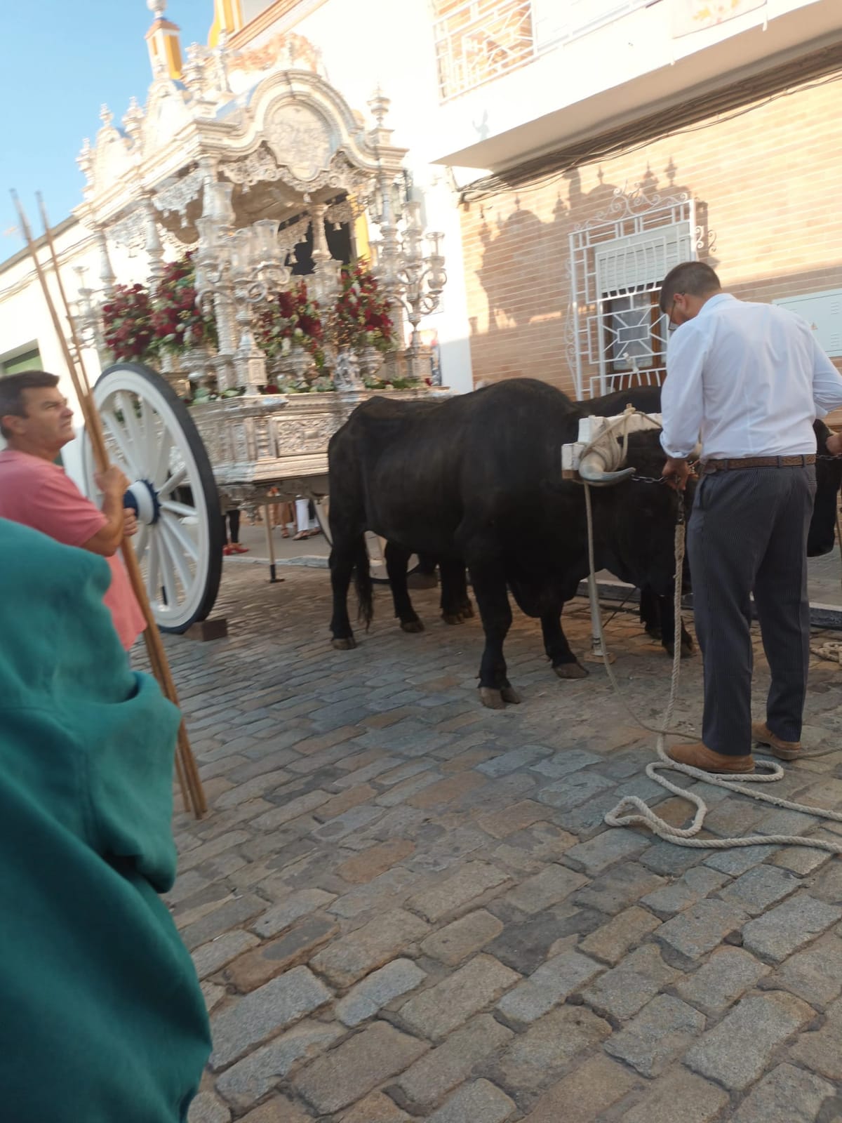 Romería de Pentecostés 2023 — foto 7