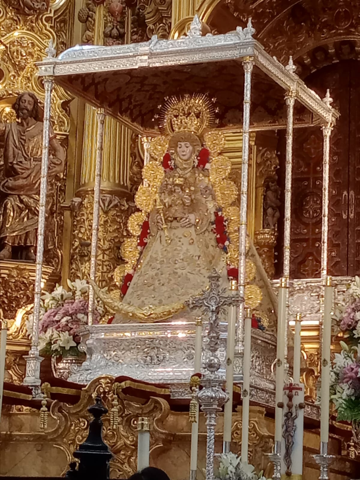 Romería de Pentecostés 2024 — foto 3