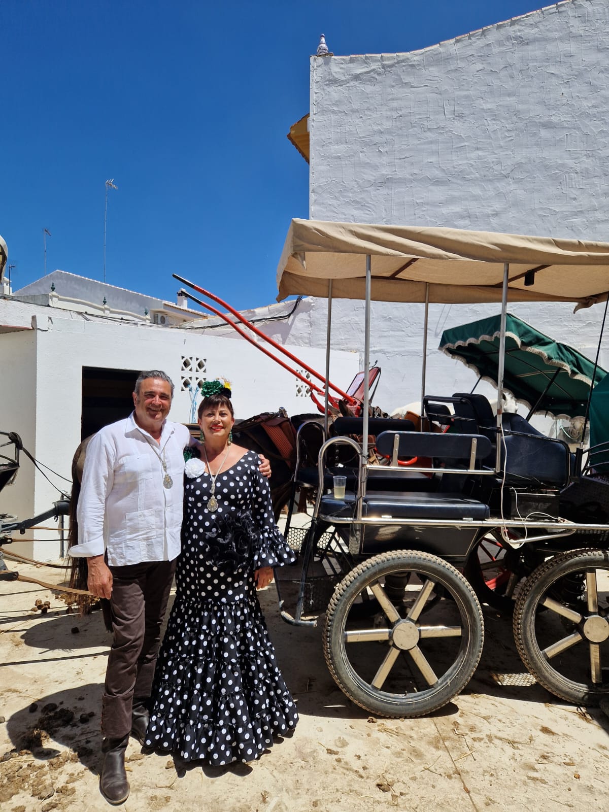 Romería de Pentecostés 2024 — foto 33