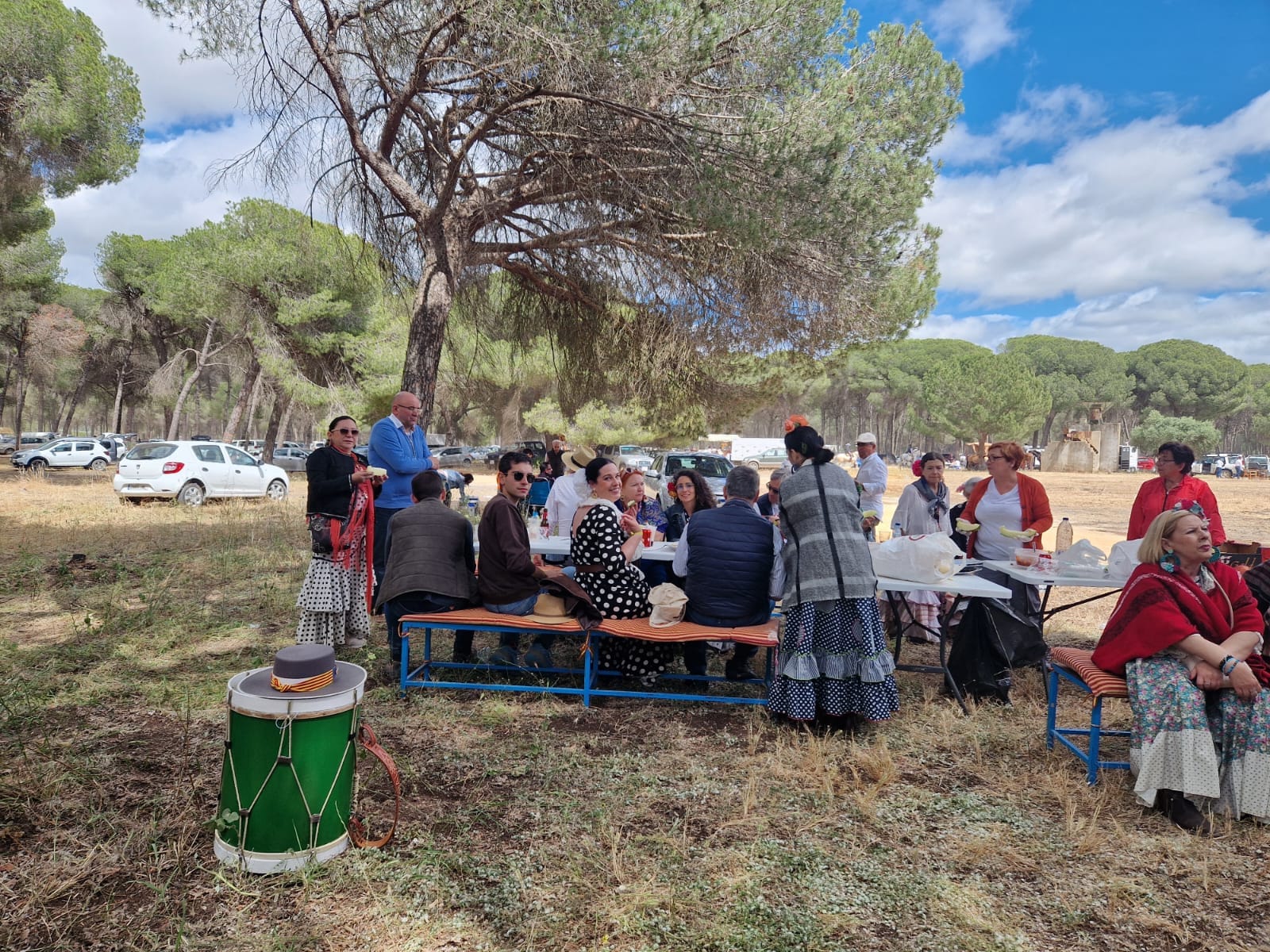 Romería de Pentecostés 2024 — foto 36