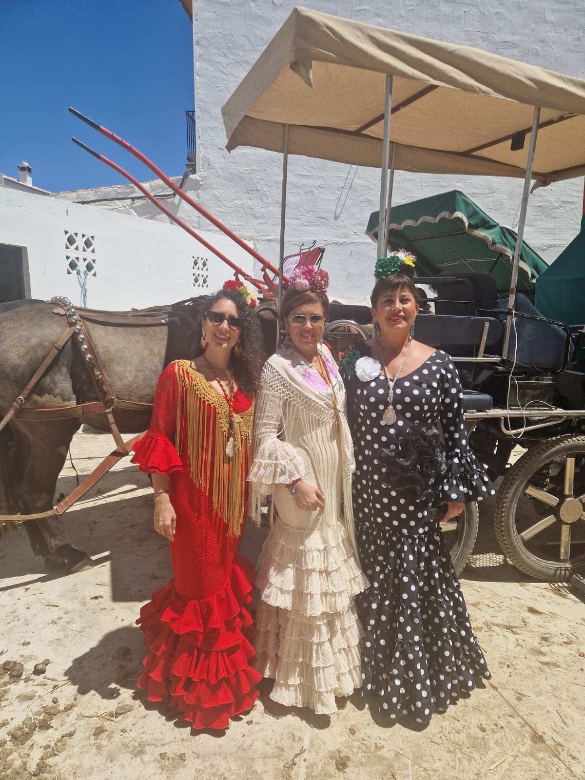 Romería de Pentecostés 2024 — foto 85