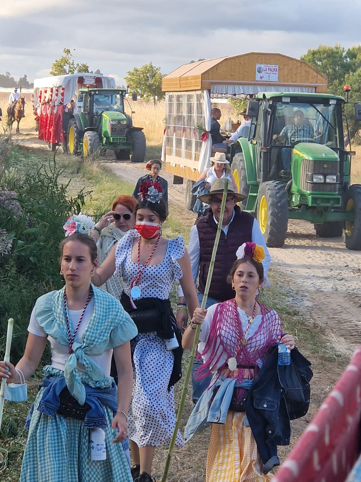 Romería de Pentecostés 2024 — foto 87