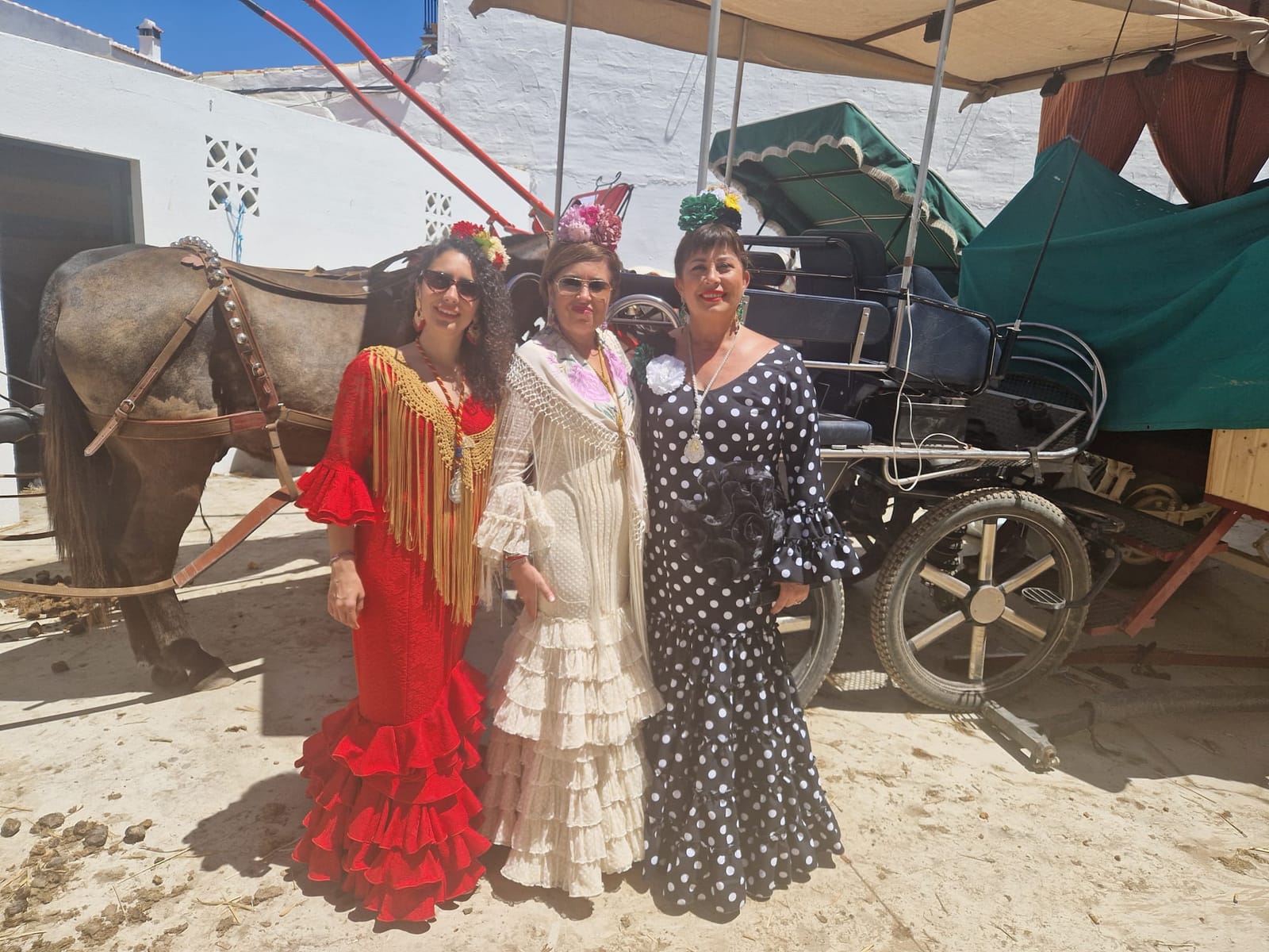 Romería de Pentecostés 2024 — foto 105