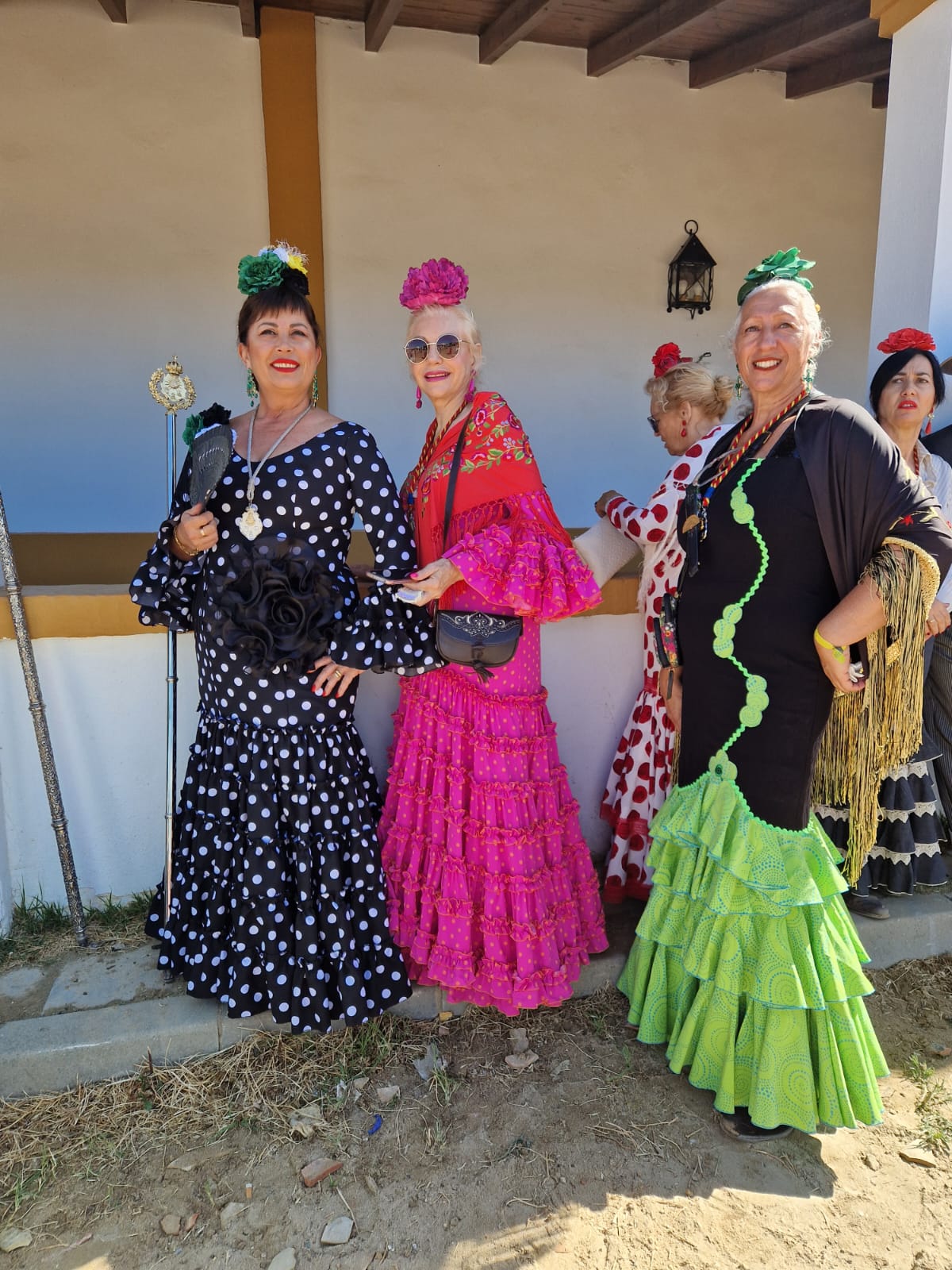 Romería de Pentecostés 2024 — foto 117