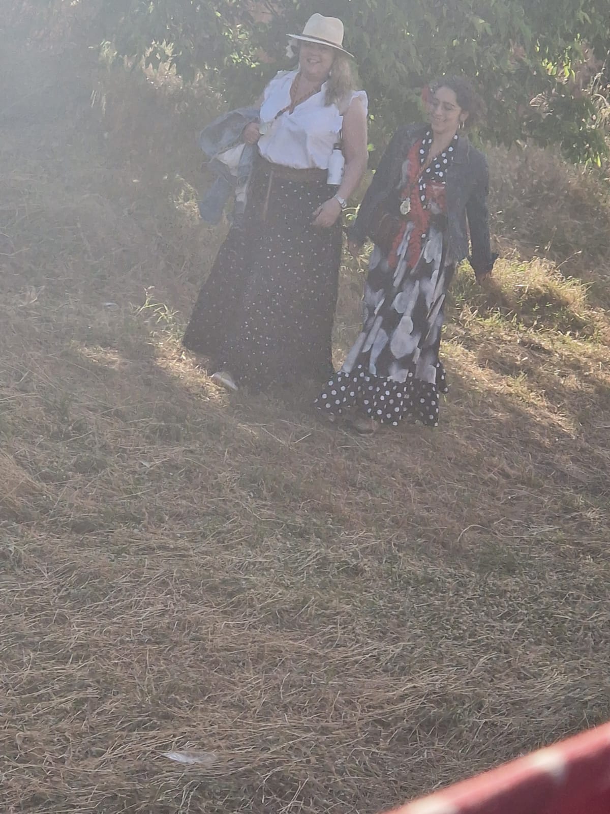 Romería de Pentecostés 2025 — foto 45