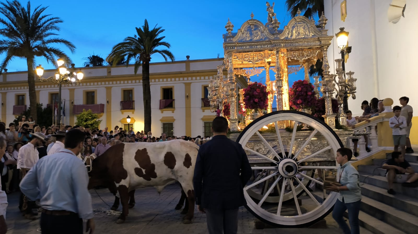 Romería de Pentecostés 2025 — foto 48