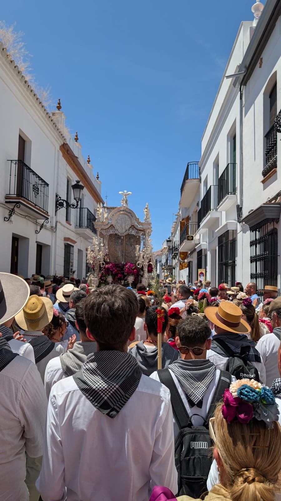 Romería de Pentecostés 2025 — foto 169