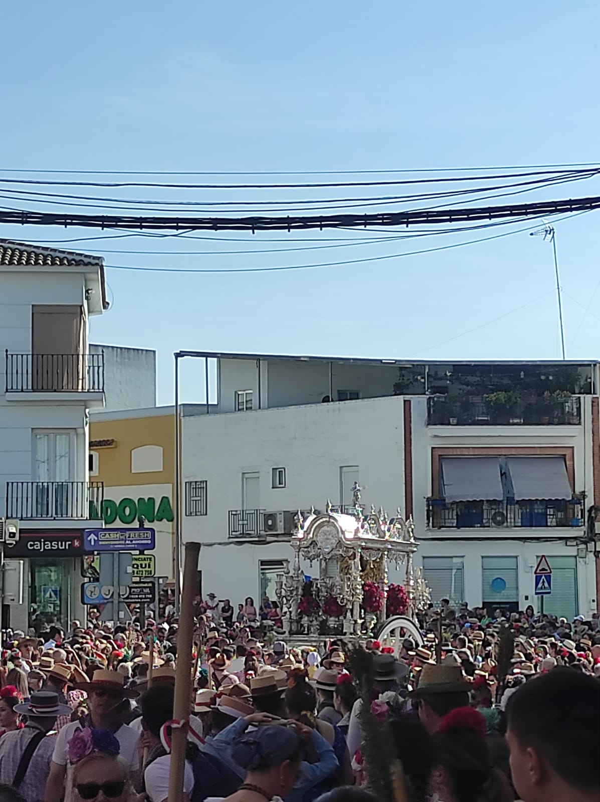 Romería de Pentecostés 2025 — foto 218