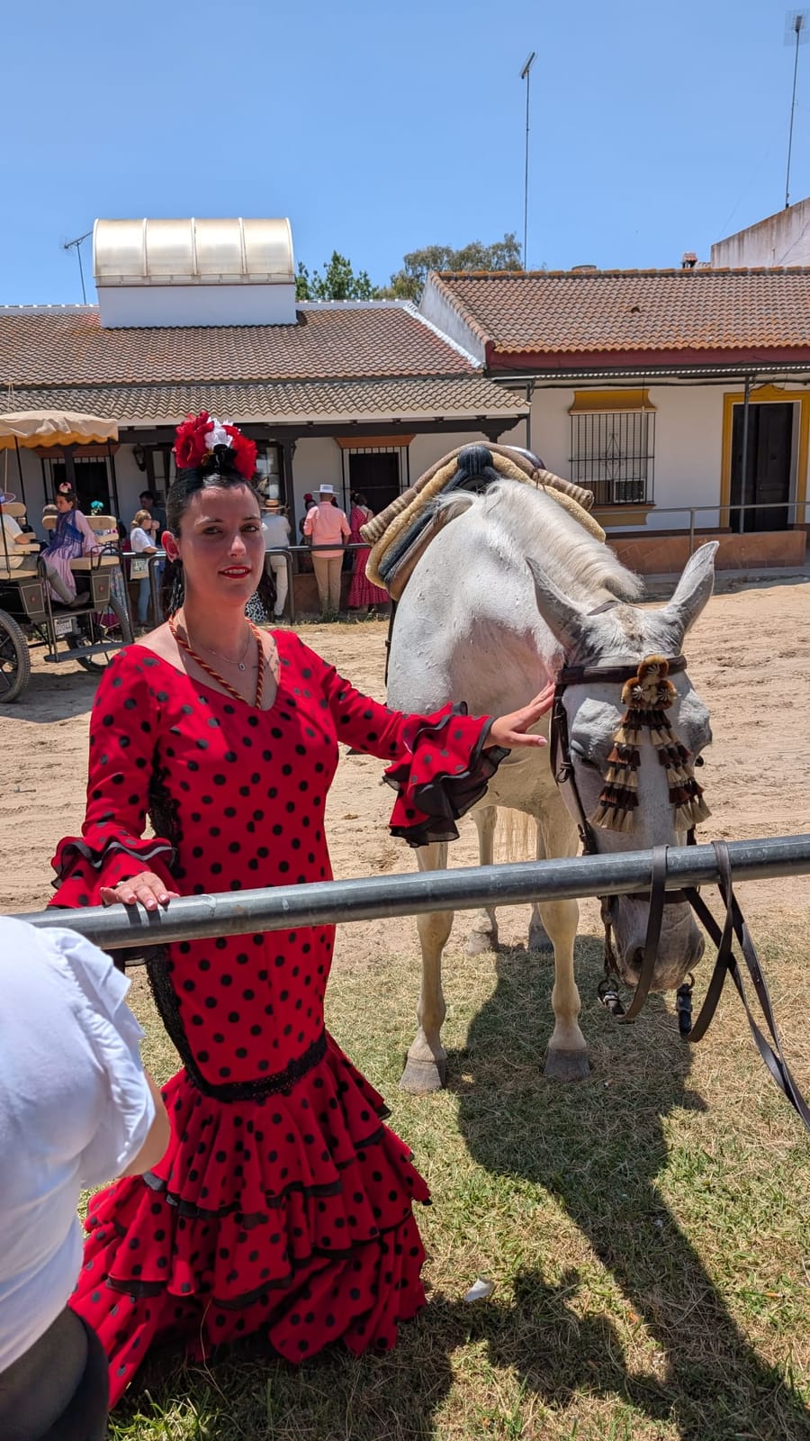 Romería de Pentecostés 2025 — foto 238