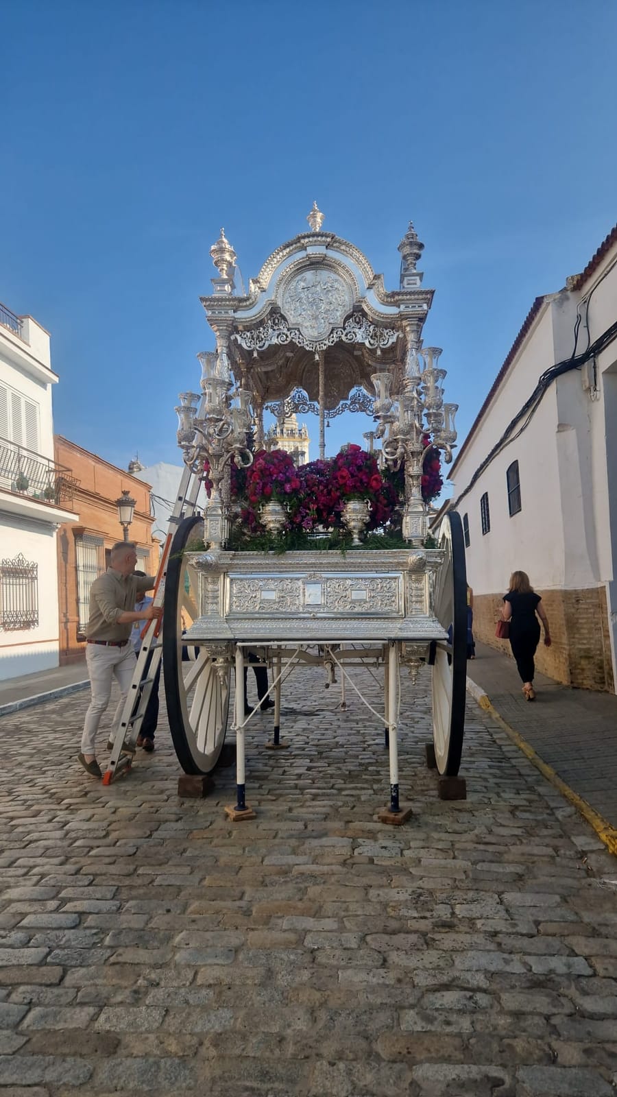Romería de Pentecostés 2025 — foto 253