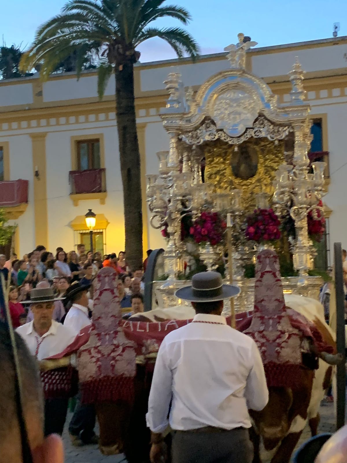 Romería de Pentecostés 2025 — foto 277
