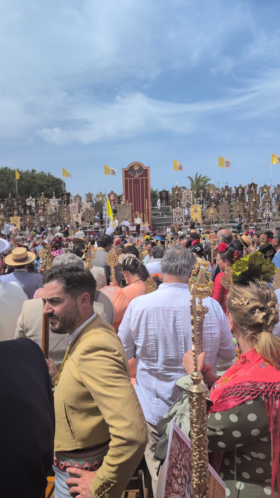 Romería de Pentecostés 2026 — foto 84