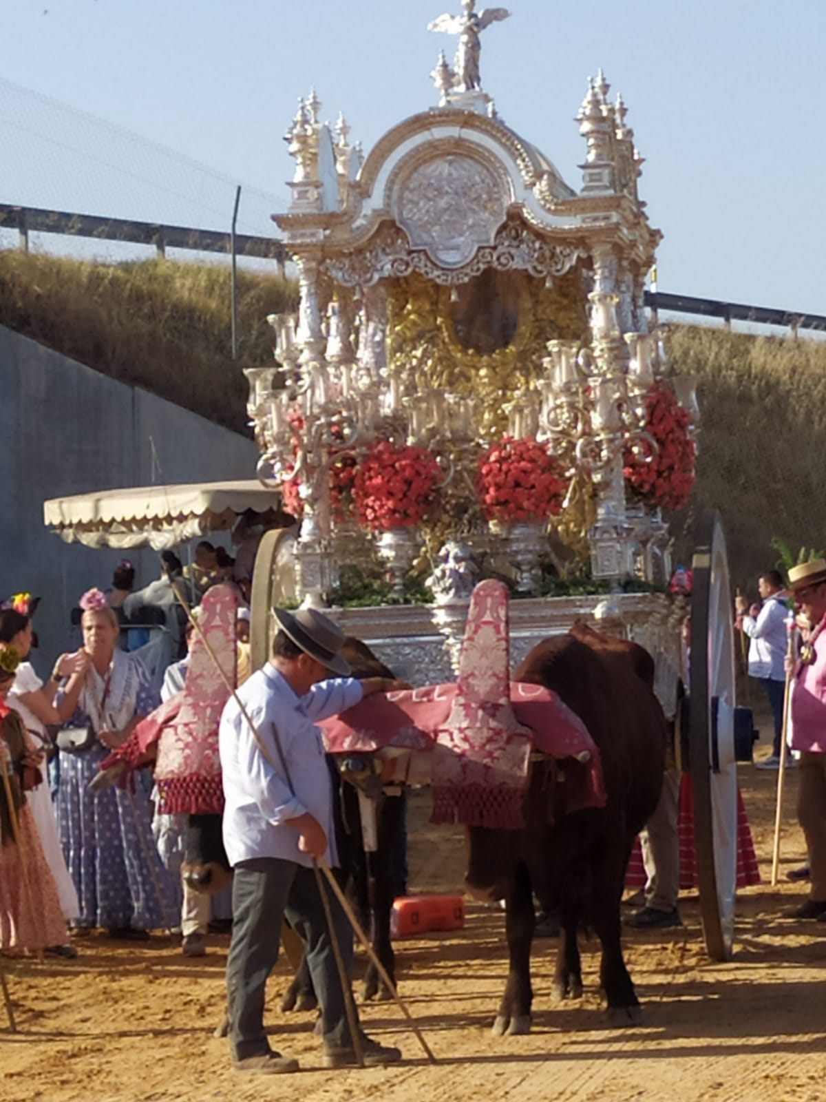 Romería de Pentecostés 2026 — foto 102