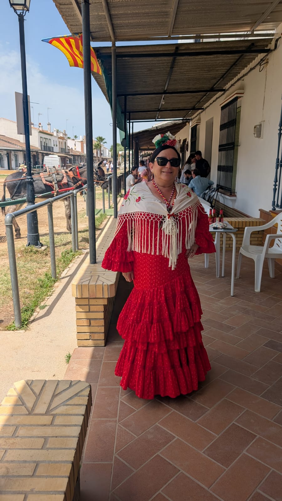 Romería de Pentecostés 2026 — foto 103