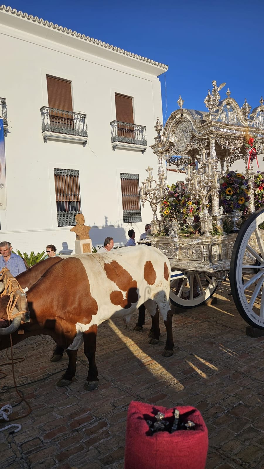 Romería de Pentecostés 2026 — foto 122