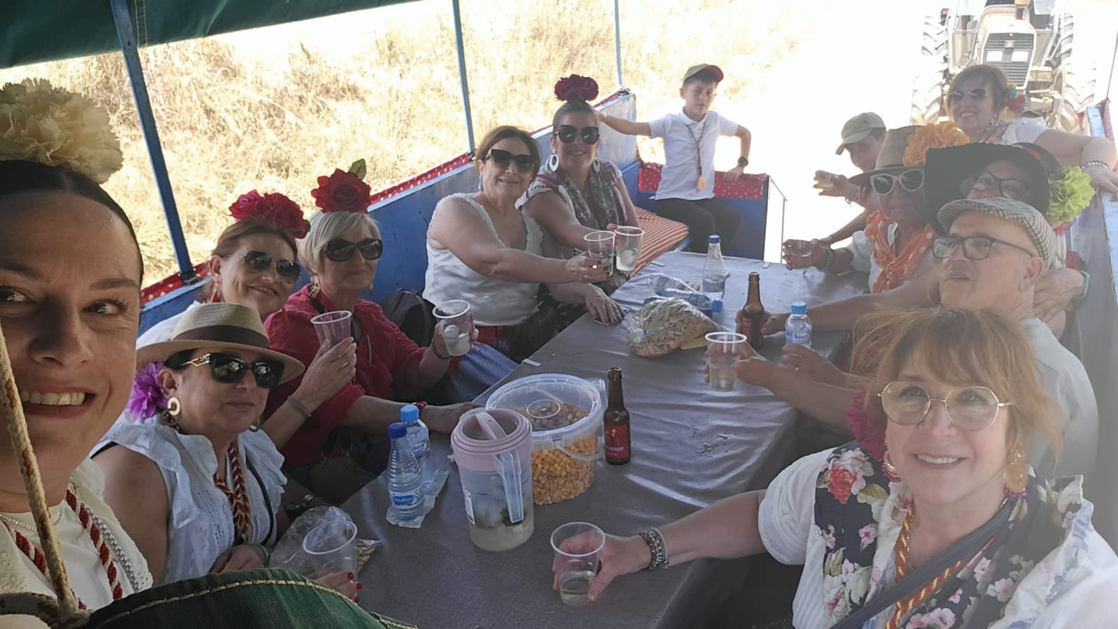 Romería de Pentecostés 2026 — foto 124
