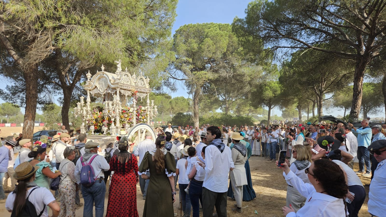 Romería de Pentecostés 2026 — foto 126