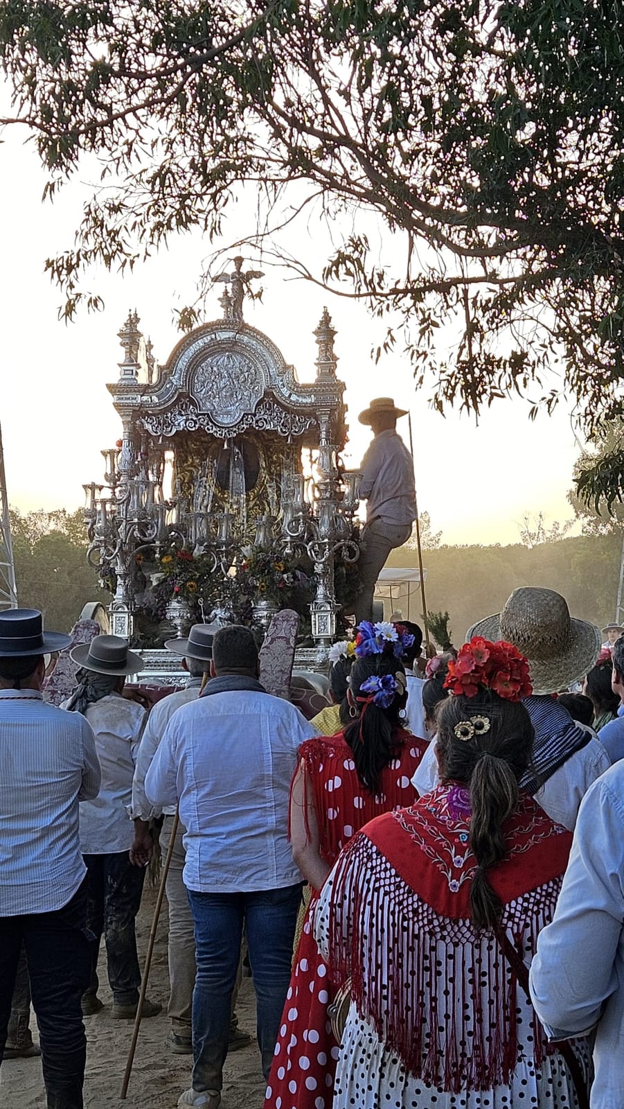 Romería de Pentecostés 2026 — foto 131